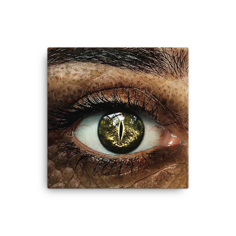 canvas-in-12x12-wall-62329bcc3f734.jpg