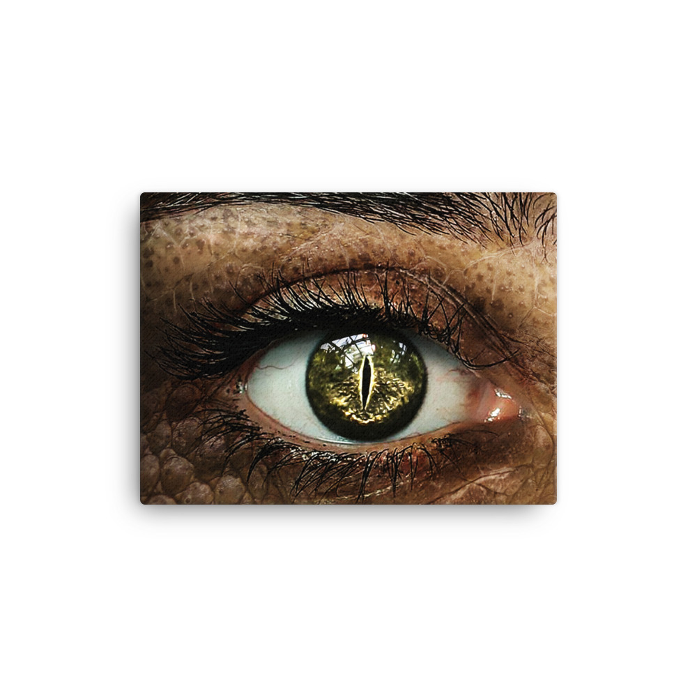 canvas-in-12x16-wall-62329bcc3f7fb.jpg