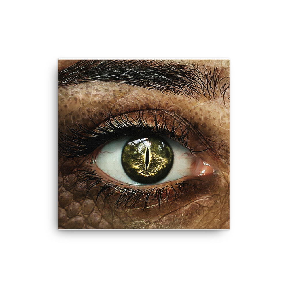canvas-in-16x16-wall-62329bcc3f8c3.jpg