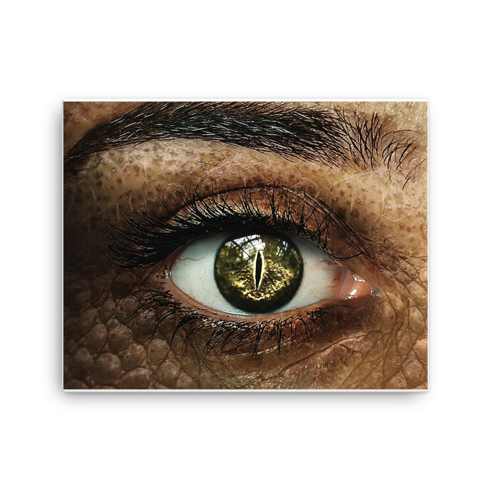 canvas-in-16x20-wall-62329bcc3f656.jpg