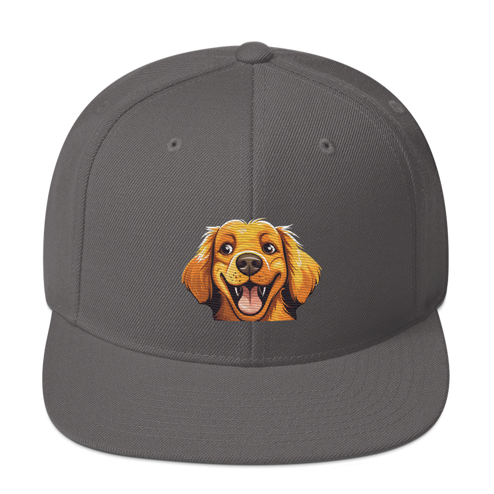 classic-snapback-dark-grey-front-64d82329bf087.jpg