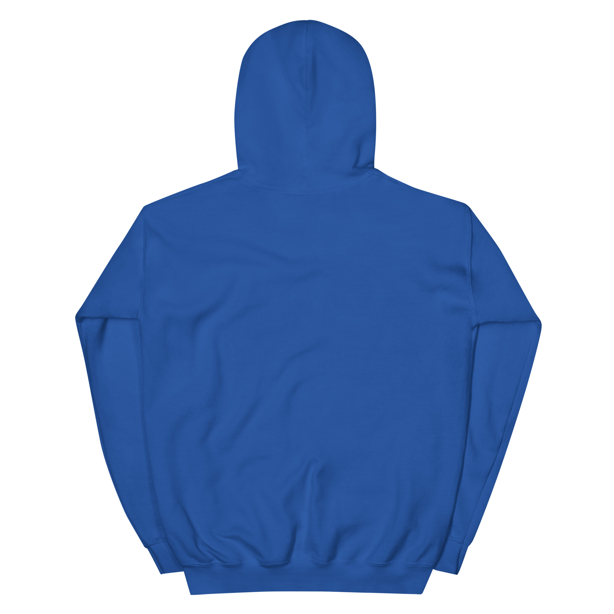 unisex-heavy-blend-hoodie-royal-back-67a9117179af4.jpg