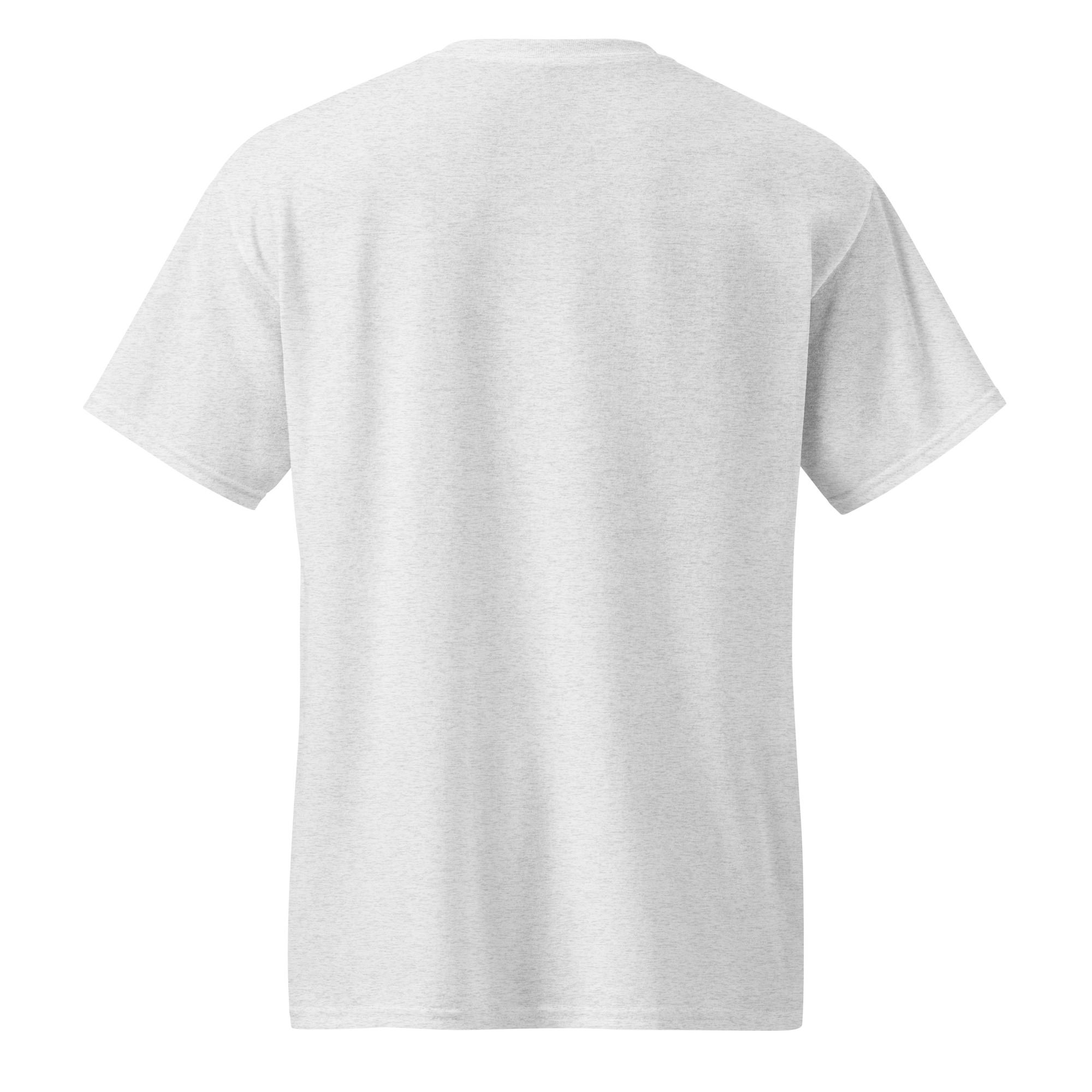 unisex-sports-tee-ash-back-67a910396e12d.jpg