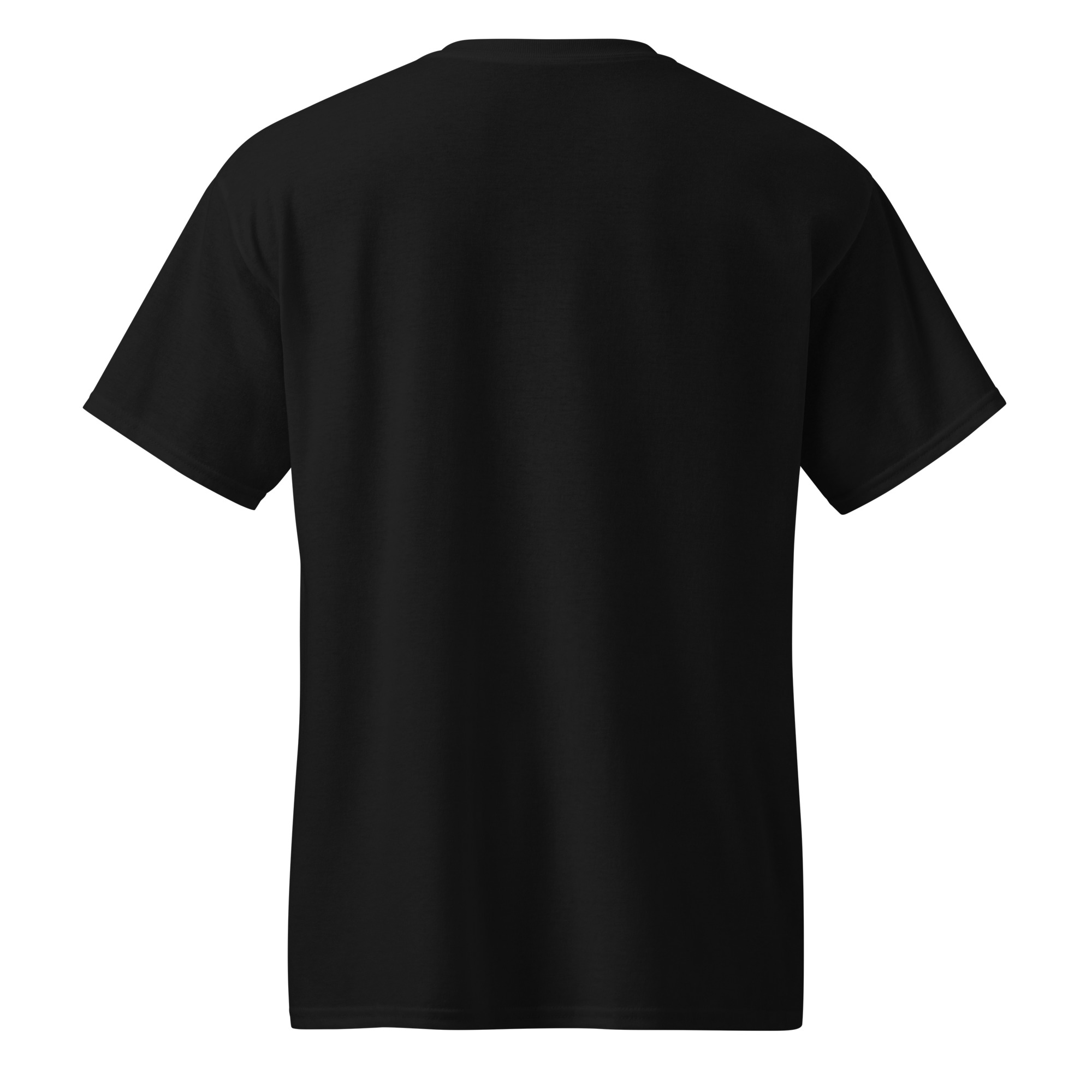 unisex-sports-tee-black-back-67a910390dc5c.jpg