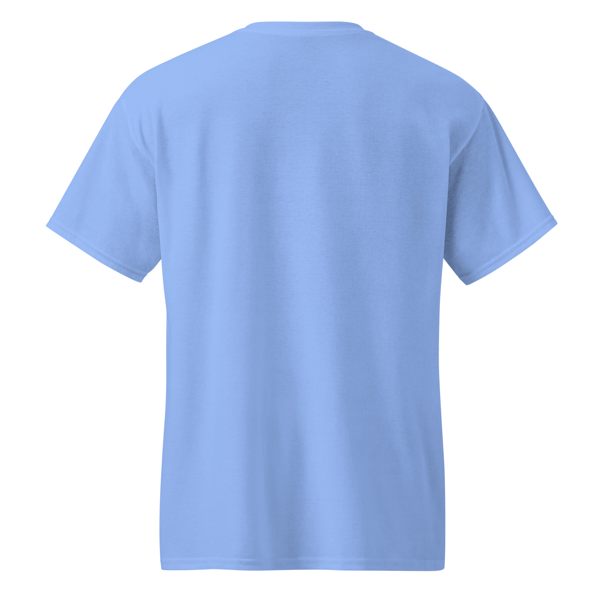 unisex-sports-tee-carolina-blue-back-67a910394c7fa.jpg