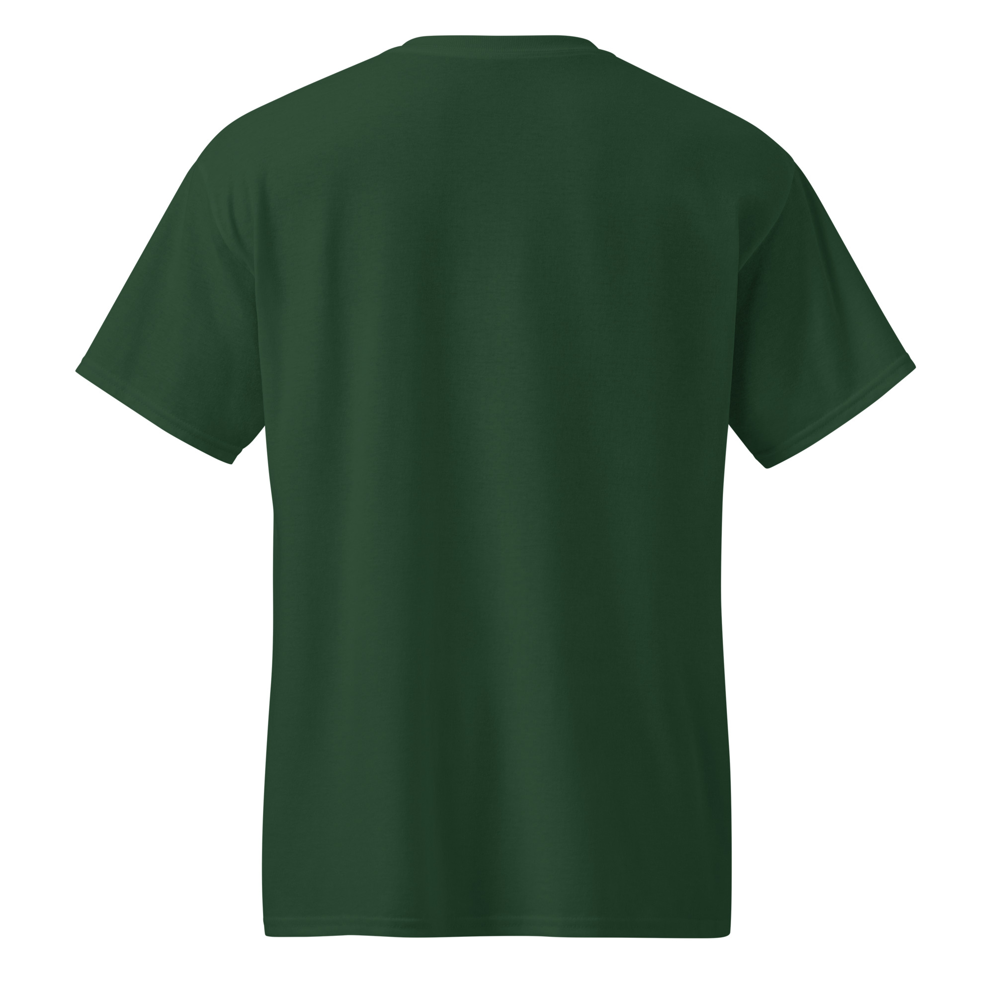 unisex-sports-tee-forest-green-back-67a910391452a.jpg