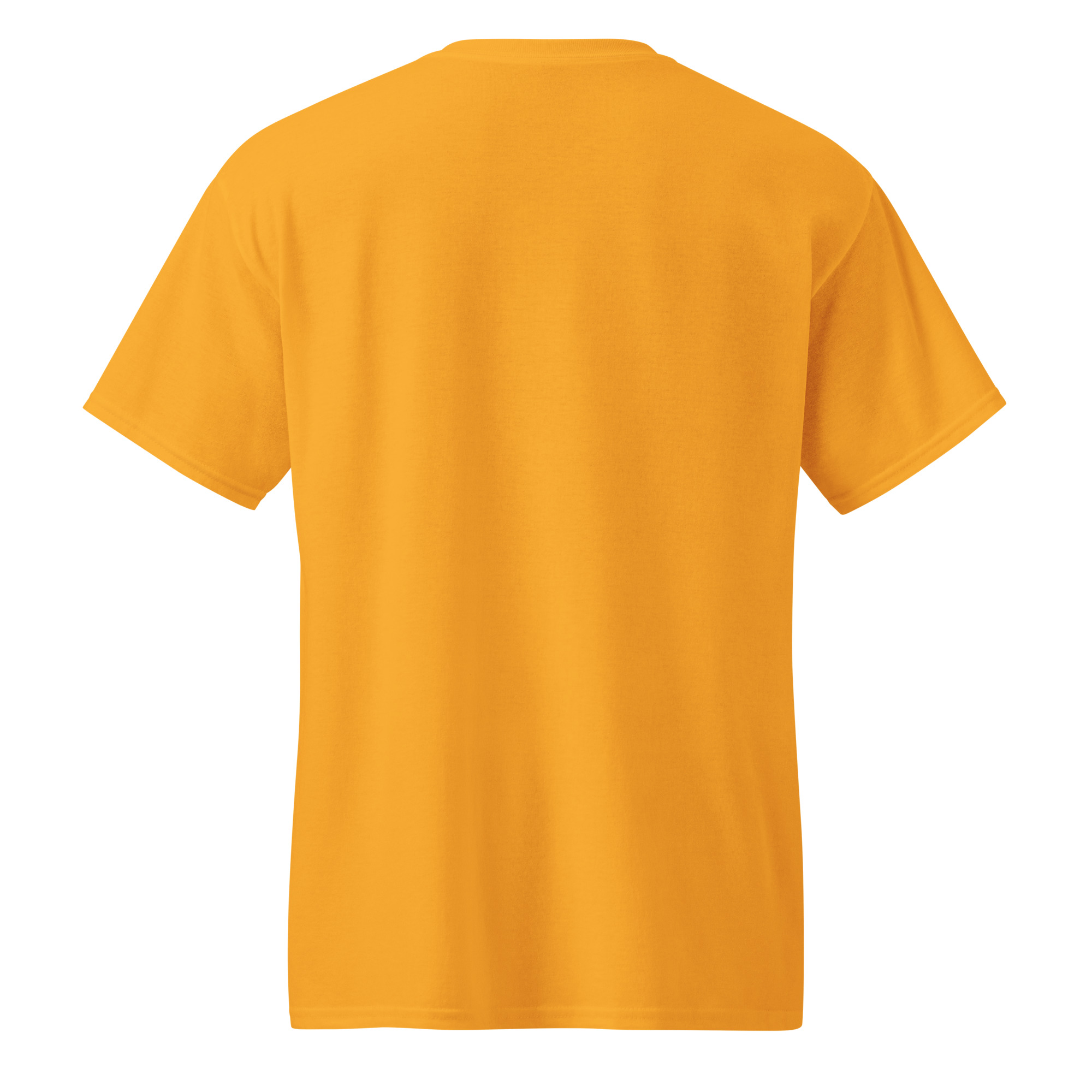 unisex-sports-tee-gold-back-67a910393ee93.jpg