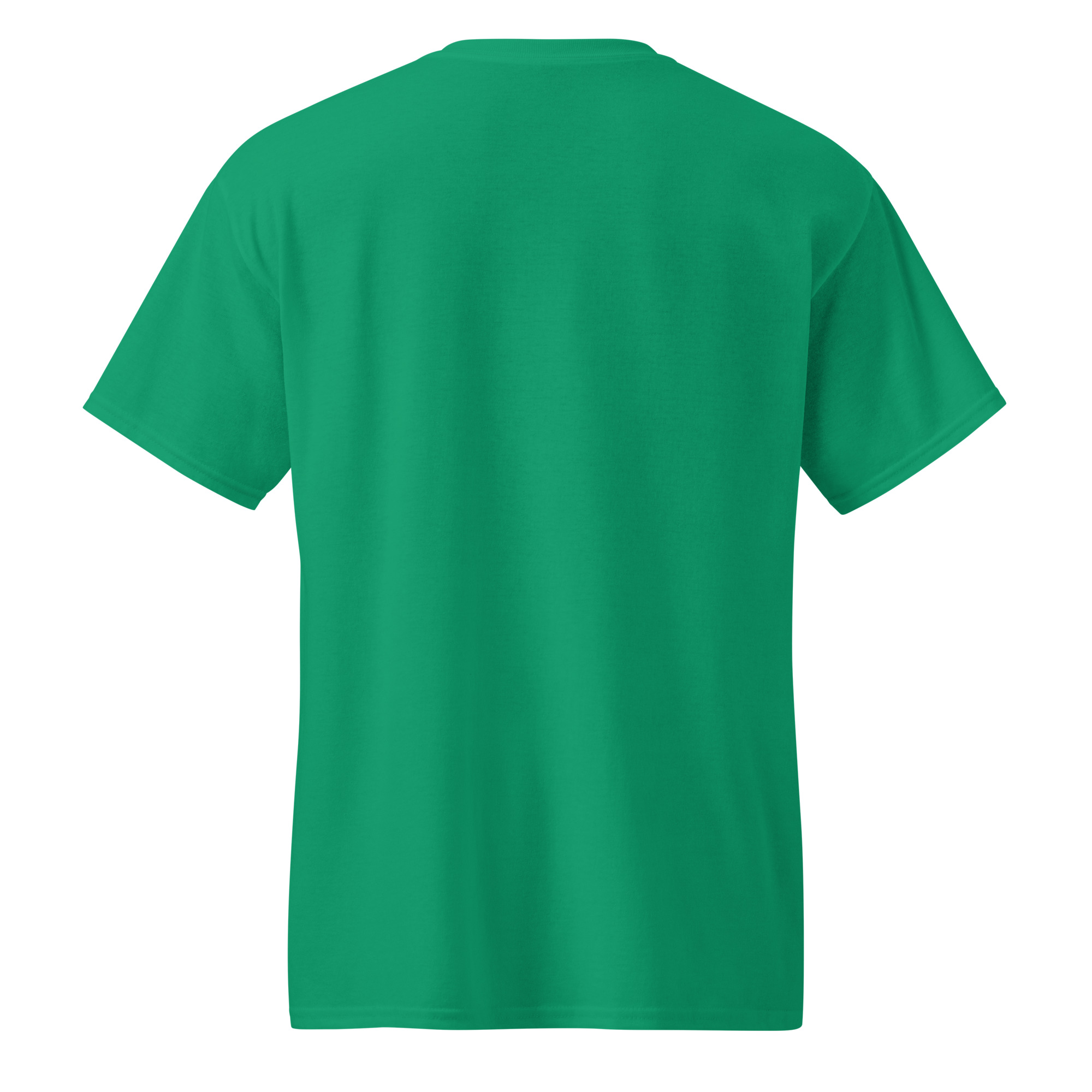 unisex-sports-tee-kelly-green-back-67a9103927e1c.jpg