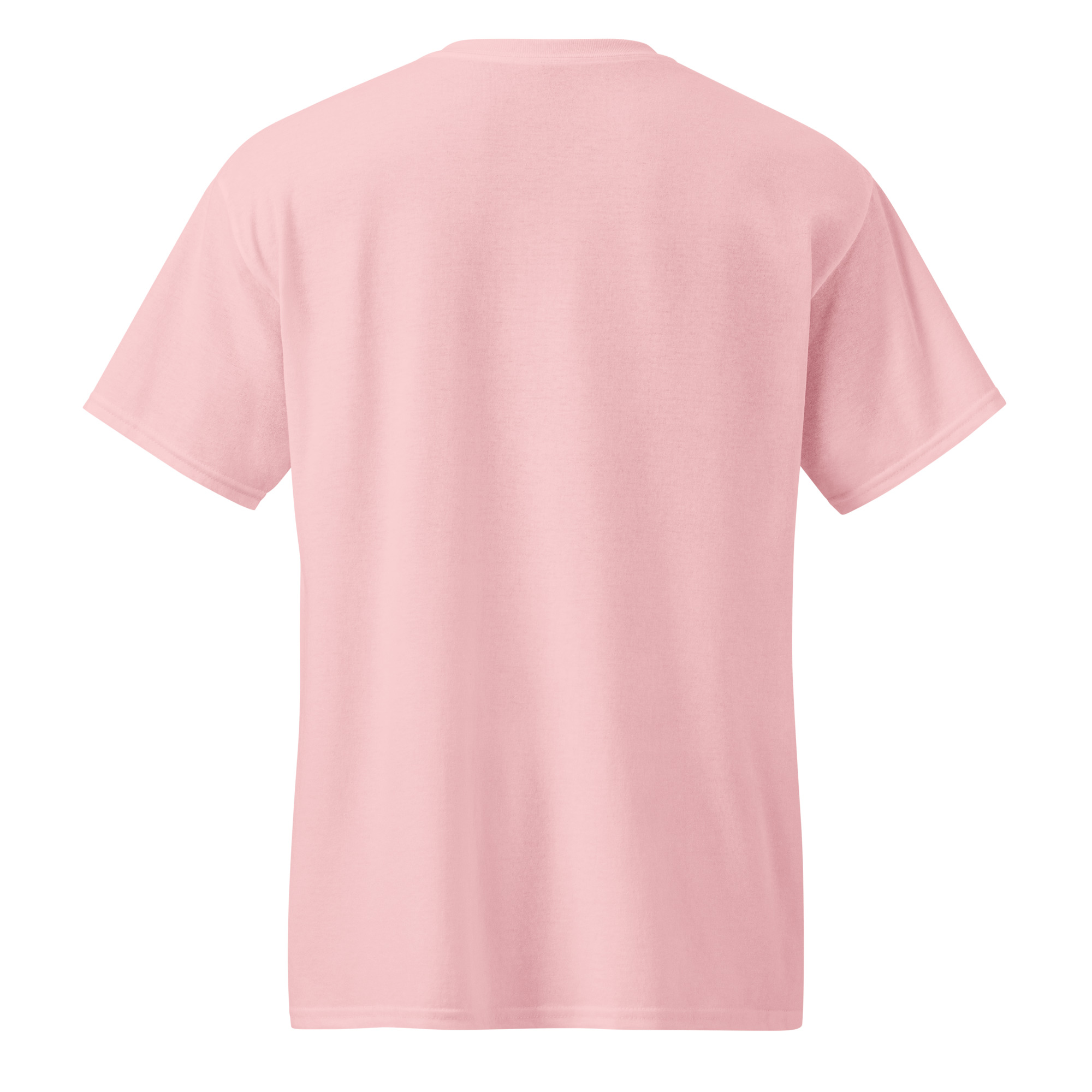 unisex-sports-tee-light-pink-back-67a91039579ef.jpg