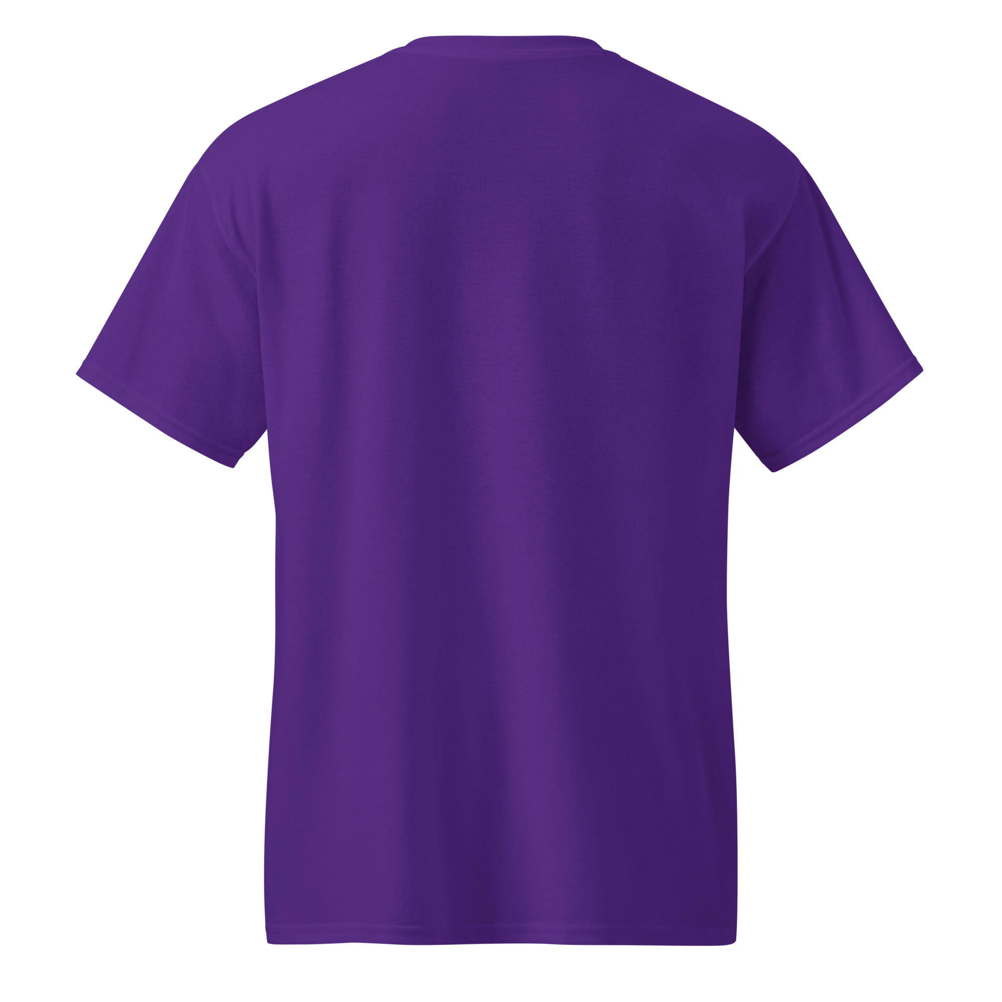 unisex-sports-tee-purple-back-67a910390fbb5.jpg