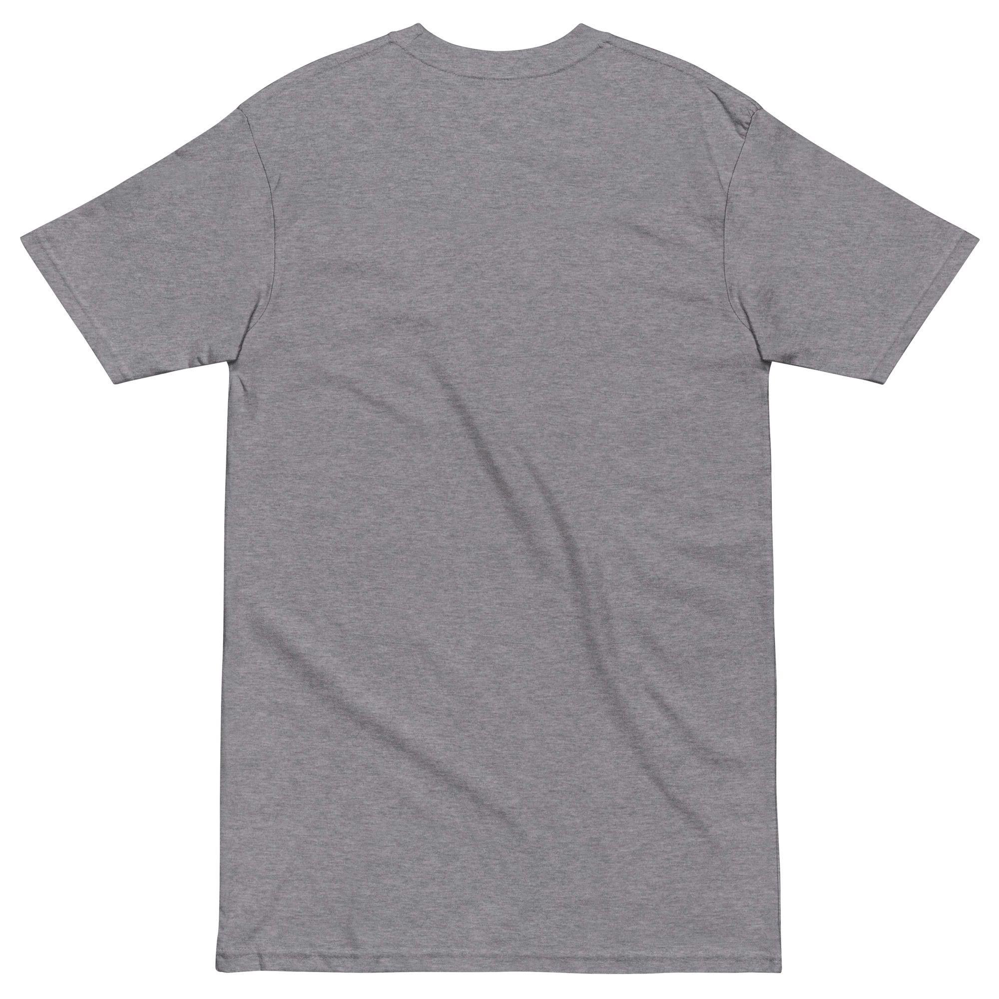 mens-premium-heavyweight-tee-carbon-grey-back-6812d960974eb.jpg